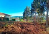 Non-developable land for sale on España, Sanxenxo, ref: TR126259 photo