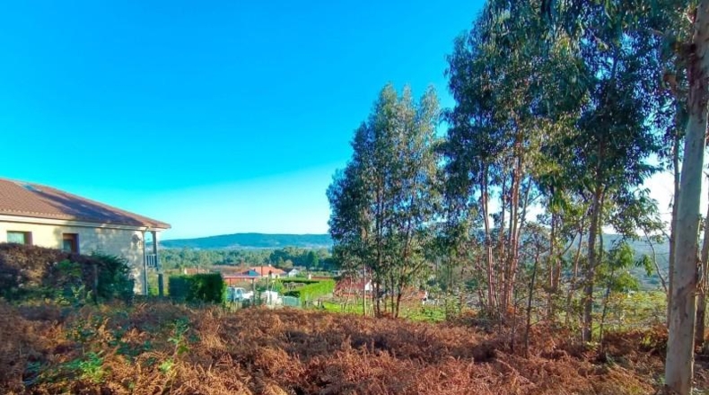 Pontevedra - Sanxenxo - 2796m2
