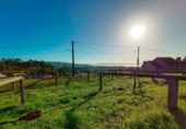 Non-developable land for sale on España, Sanxenxo, ref: TR126259 photo