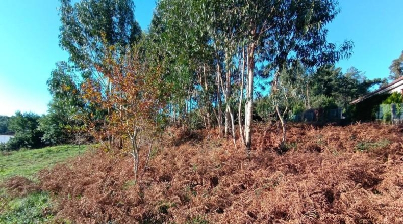 Pontevedra - Sanxenxo - 2796m2
