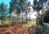 Non-developable land for sale on España, Sanxenxo, ref: TR126259 photo