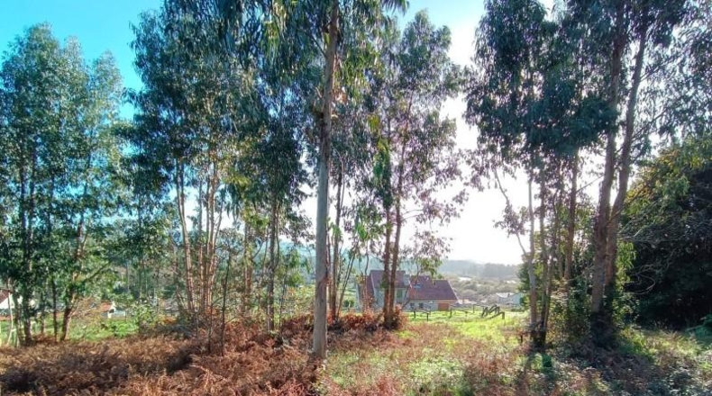 Pontevedra - Sanxenxo - 2796m2