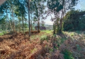Non-developable land for sale on España, Sanxenxo, ref: TR126259 photo