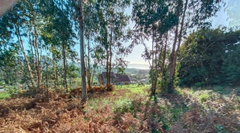 Pontevedra - Sanxenxo - 2796m2