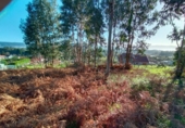 Non-developable land for sale on España, Sanxenxo, ref: TR126259 photo