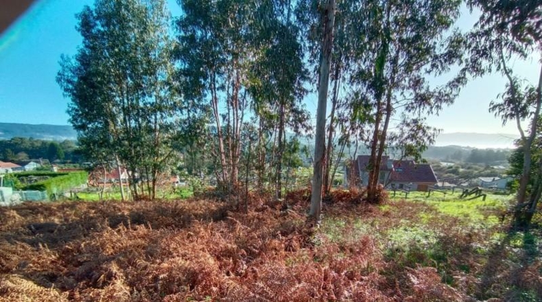 Pontevedra - Sanxenxo - 2796m2