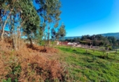 Non-developable land for sale on España, Sanxenxo, ref: TR126259 photo