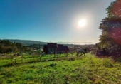 Non-developable land for sale on España, Sanxenxo, ref: TR126259 photo