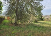 Parcel·la urbanitzable en venda a la España, Navarcles, ref.: TR179673 foto
