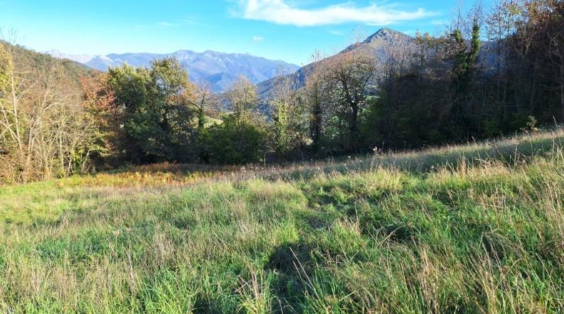 Cantabria - Camaleño - 9601m2