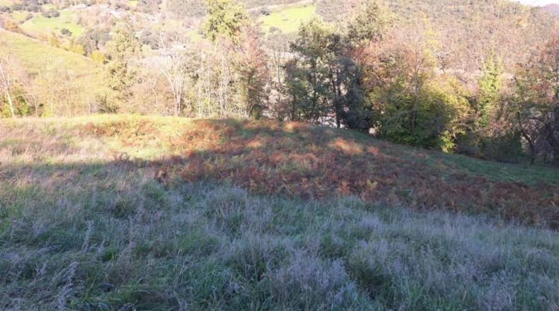 Cantabria - Camaleño - 9601m2