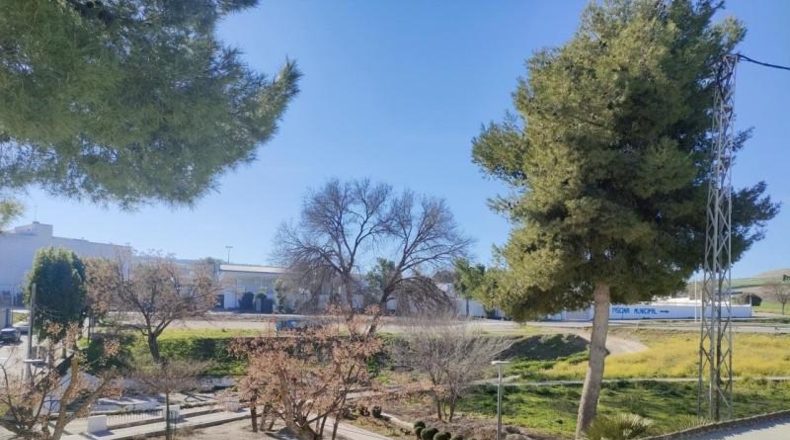 Jaén - Mengíbar - 366m2