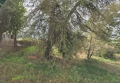 Parcel·la urbanitzable en venda a la España, Navarcles, ref.: TR218759 foto