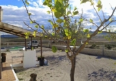 Finca rústica en venda a la España, Calasparra, ref.: TR287730 foto