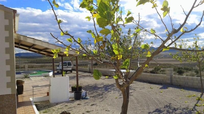 Murcia - Calasparra - 14000m2