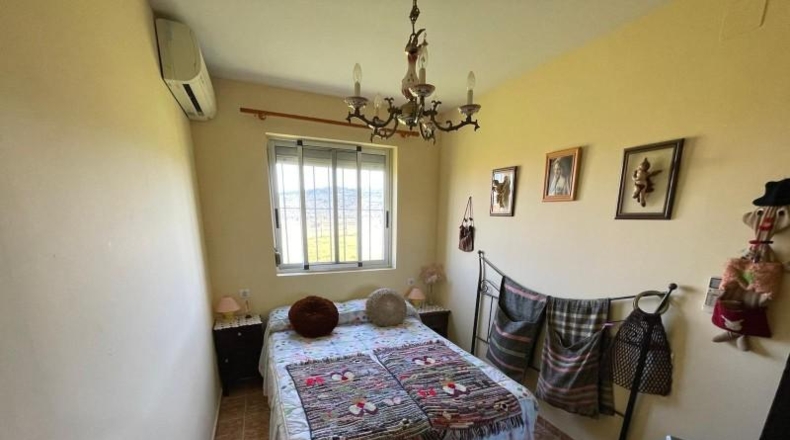 Caceres - Cáceres - 4692m2