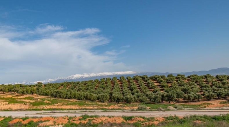 Granada - Альболоте - 608m2