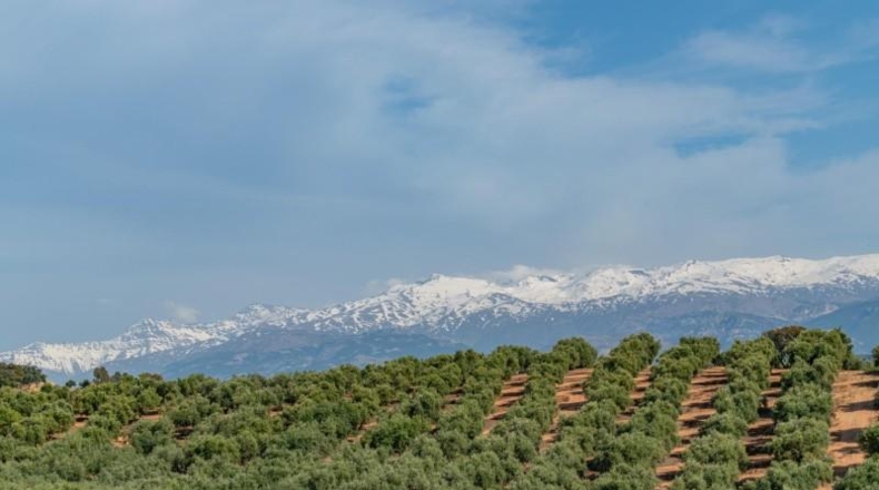 Granada - Альболоте - 608m2