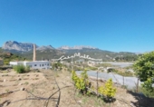 Sòl urbà en venda a la España, Callosa d'en Sarrià, ref.: TR244562 foto