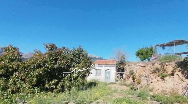 Alicante - Callosa de Ensarriá - 1150m2