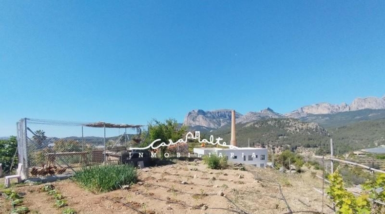 Alicante - Callosa de Ensarriá - 1150m2
