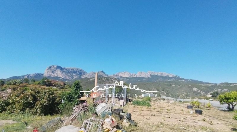 Alicante - Callosa de Ensarriá - 1150m2