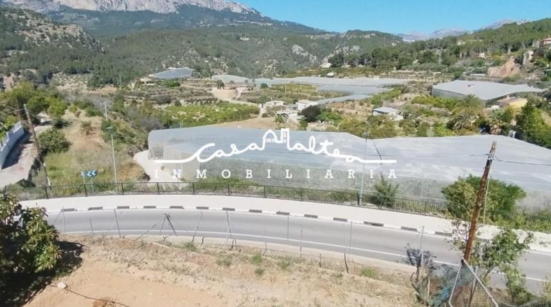 Alicante - Callosa de Ensarriá - 1150m2