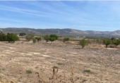Sòl urbà en venda a la España, la Canyada, ref.: TR372875 foto