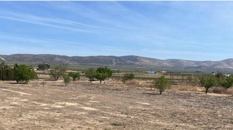 Comunidad de Madrid - Villanueva de la Cañada - 945m2