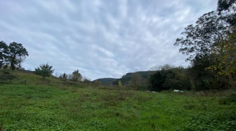 Cantabria - Limpias - 6246m2