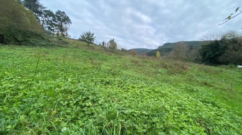 Cantabria - Limpias - 6246m2