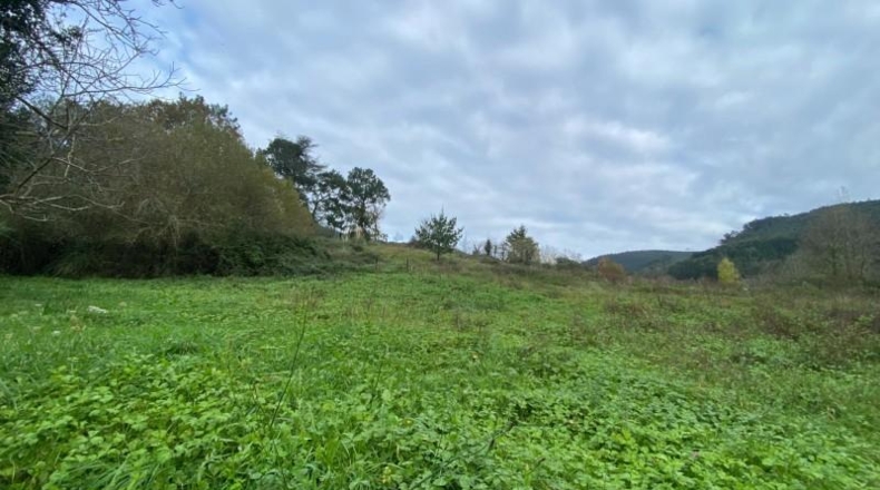 Cantabria - Limpias - 6246m2