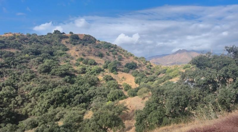Málaga - Mijas - 6299m2