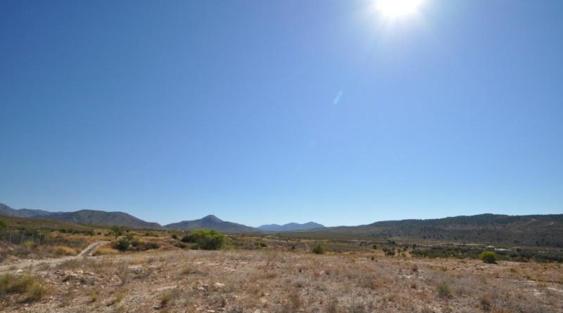 Murcia - Favanella - 44900m2