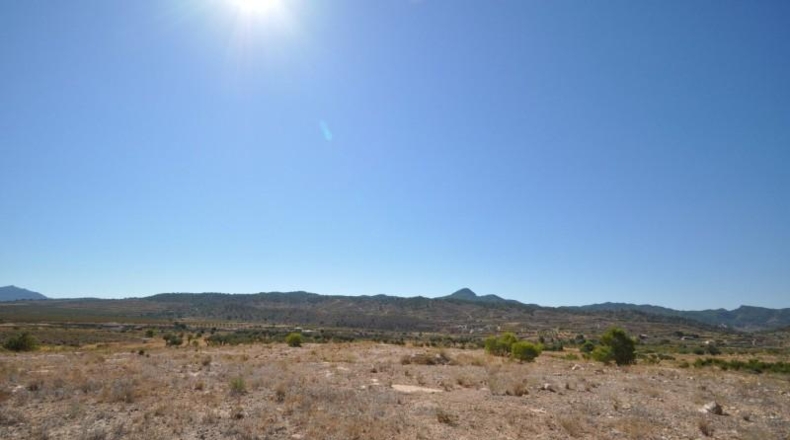 Murcia - Favanella - 44900m2