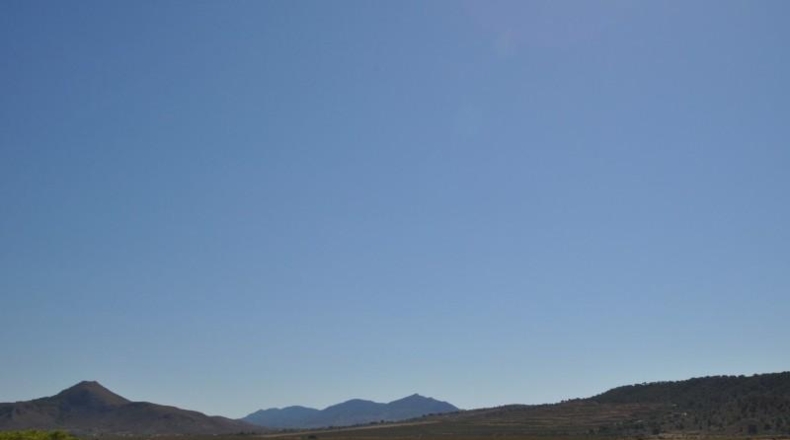 Murcia - Favanella - 44900m2