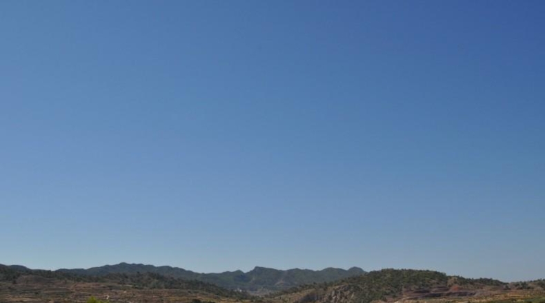 Murcia - Favanella - 44900m2