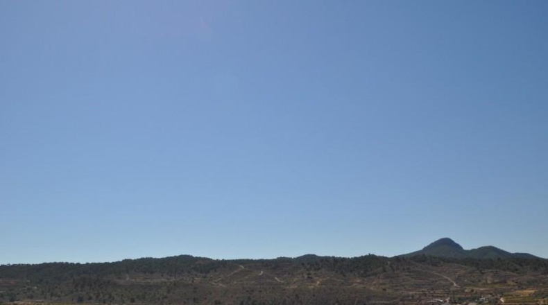 Murcia - Favanella - 44900m2