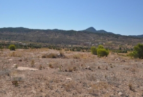 Favanella 44900&nbsp;m² 