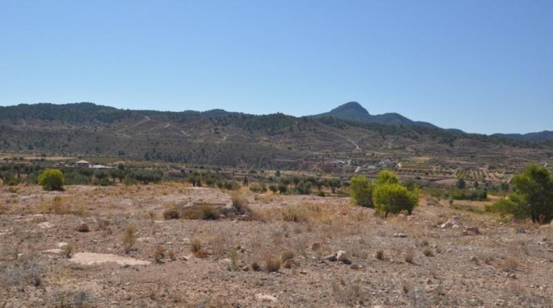 Murcia - Favanella - 44900m2