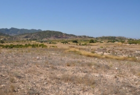 Favanella 44900&nbsp;m² 