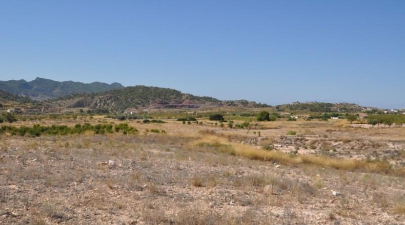 Murcia - Favanella - 44900m2