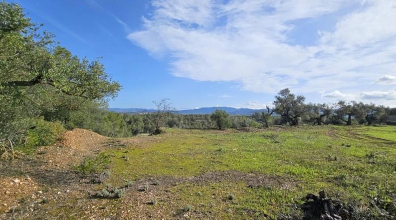 Tarragona - Tivissa - 46000m2