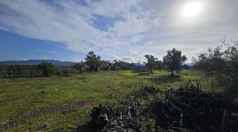 Tarragona - Tivissa - 46000m2