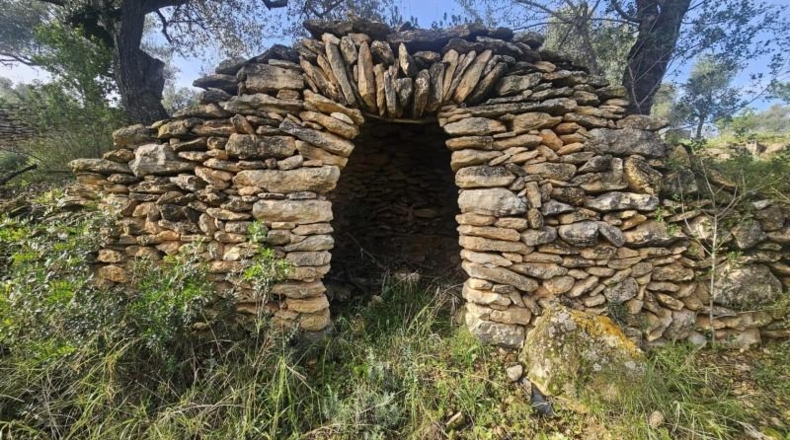 Tarragona - Tivissa - 46000m2