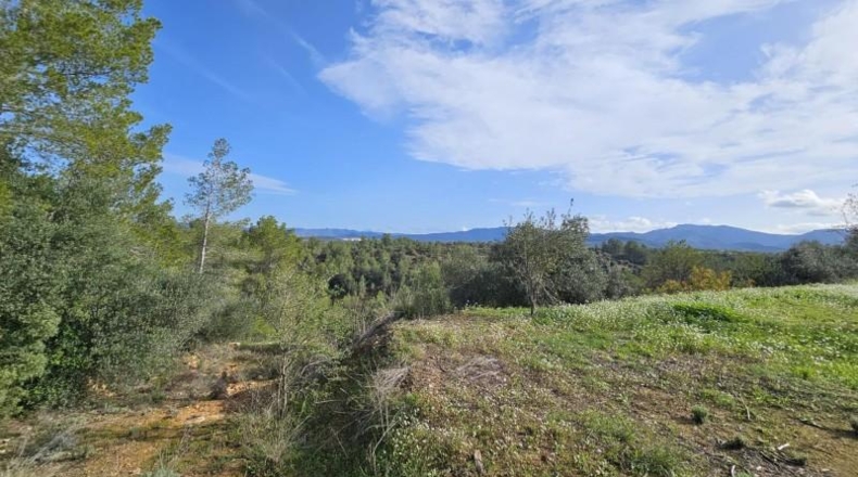 Tarragona - Tivissa - 46000m2