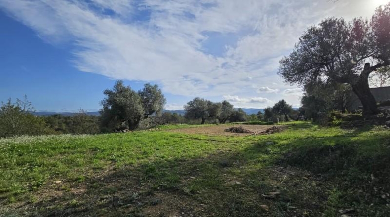 Tarragona - Tivissa - 46000m2