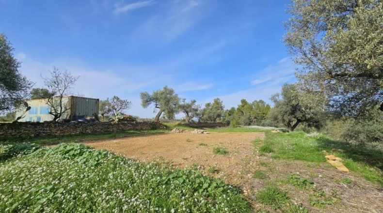 Tarragona - Tivissa - 46000m2