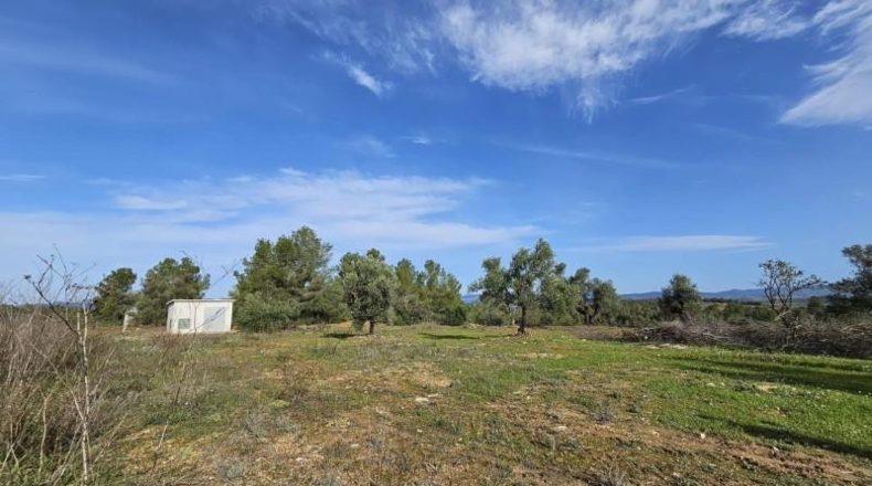 Tarragona - Tivissa - 46000m2