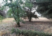 Chalet independiente con terreno en venta en la España, Grijota, ref: TR142909 foto
